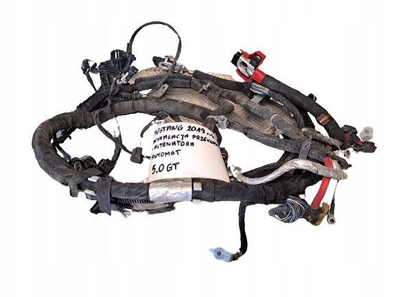 фото №1, Ford mustang 5.0 gt 19 r электропроводка редуктор