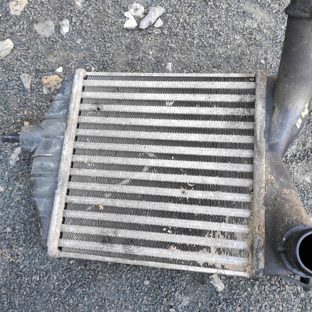 фото №8, Інтеркулер jtd fiat punto 1.3