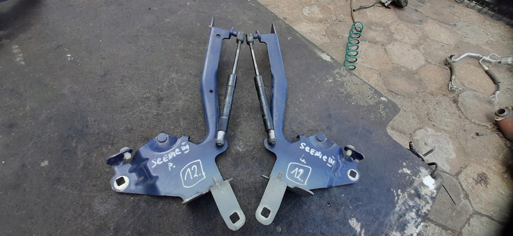 фото №1, Петля петли капот правый левый renault scenic iii 654010004r 654000004r