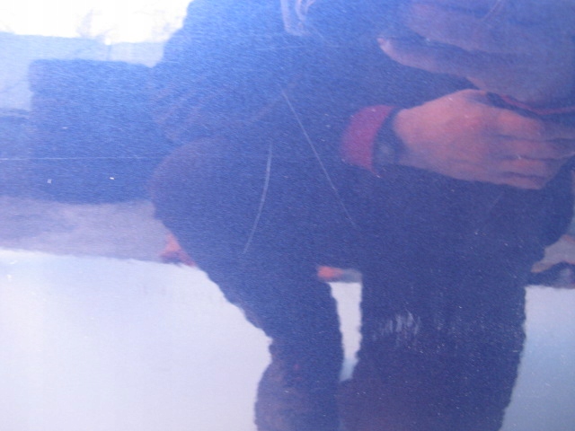 фото №5, Дверь левый задняя fiat sedici zch