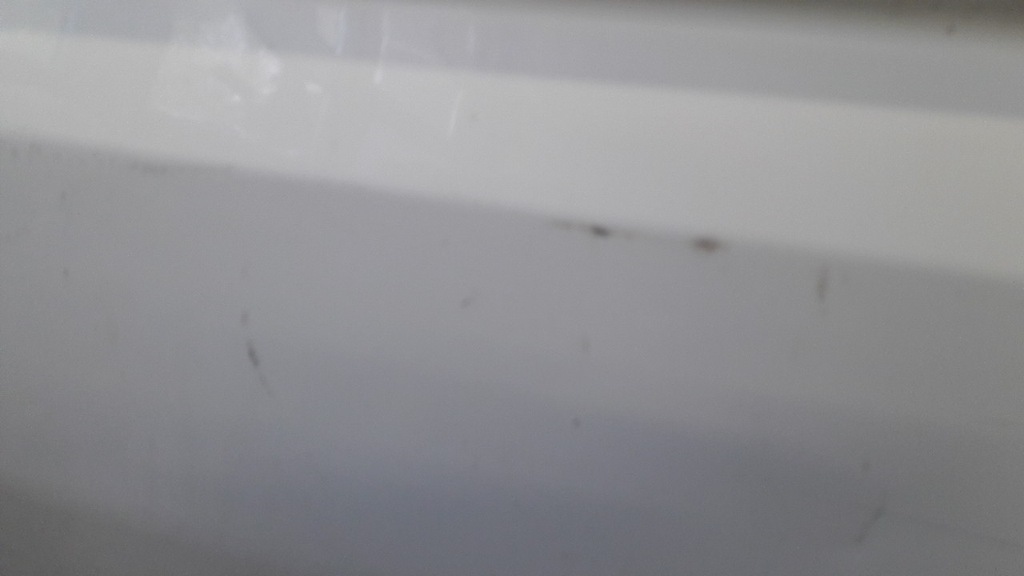 фото №11, Двері правий перед citroen jumpy білий