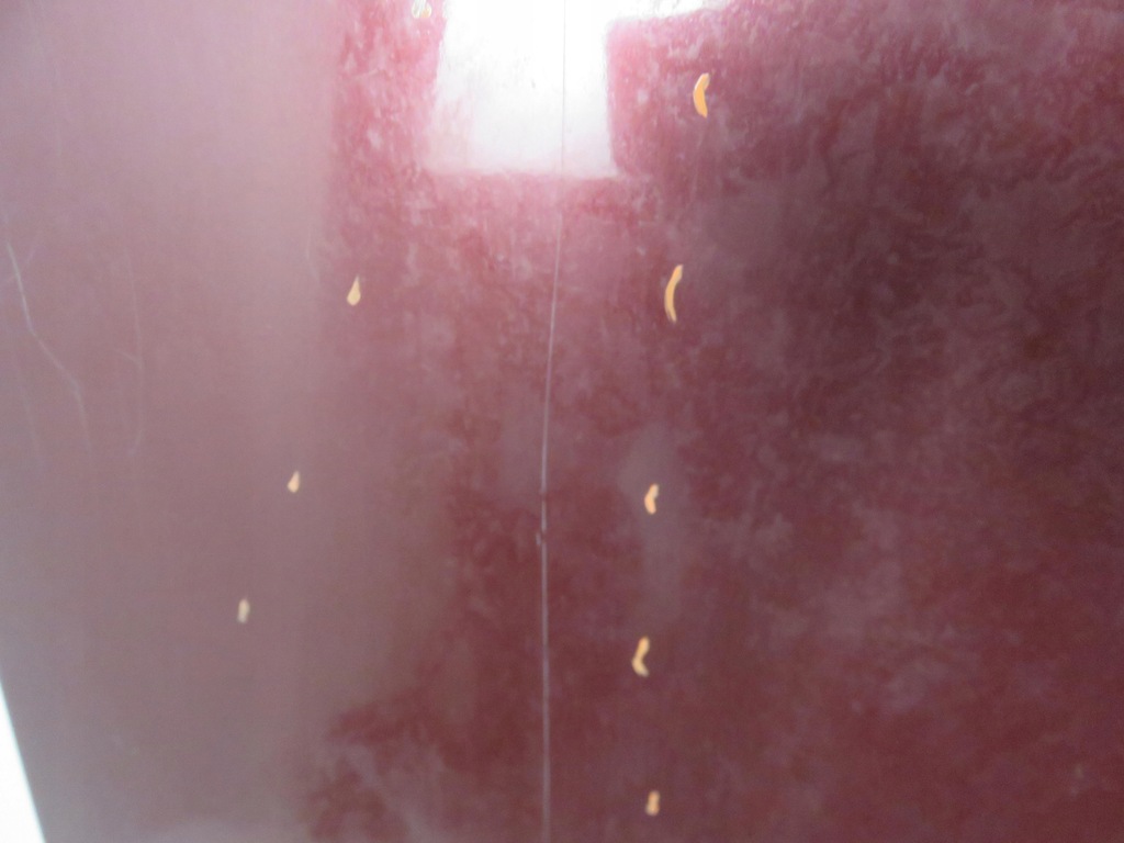 фото №6, Капот nissan terrano ii lift r20 ax5