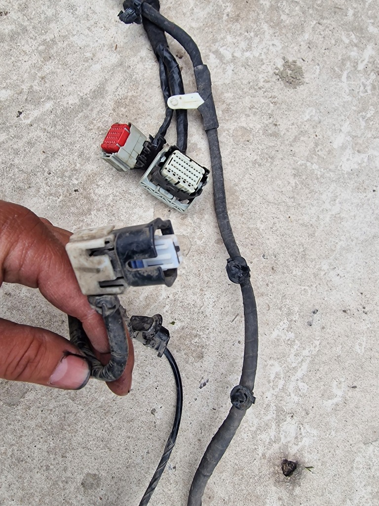 фото №6, Джгут задня ford mustang mach-e lj8t-14b599-eac