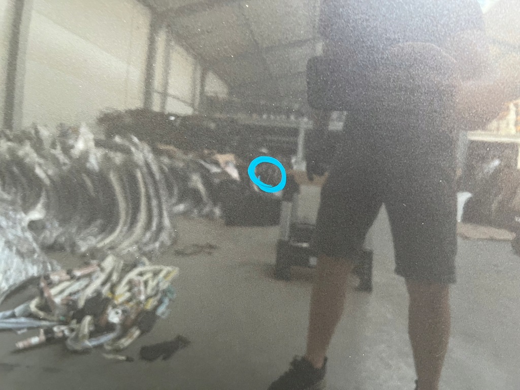 фото №4, Капот крышка двигателя alfa romeo stelvio