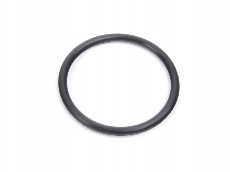 фото №1, Прокладка уплотнительное кольцо насоса wody bmw z3