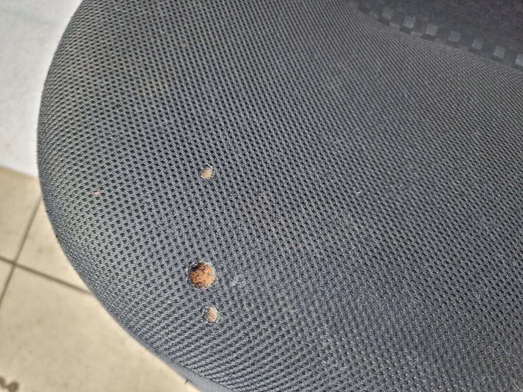 фото №5, Daihatsu materia 2006- заднее сиденье задняя