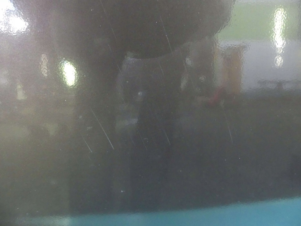 фото №8, Капот передня audi a3 8l 96-99 lz8p