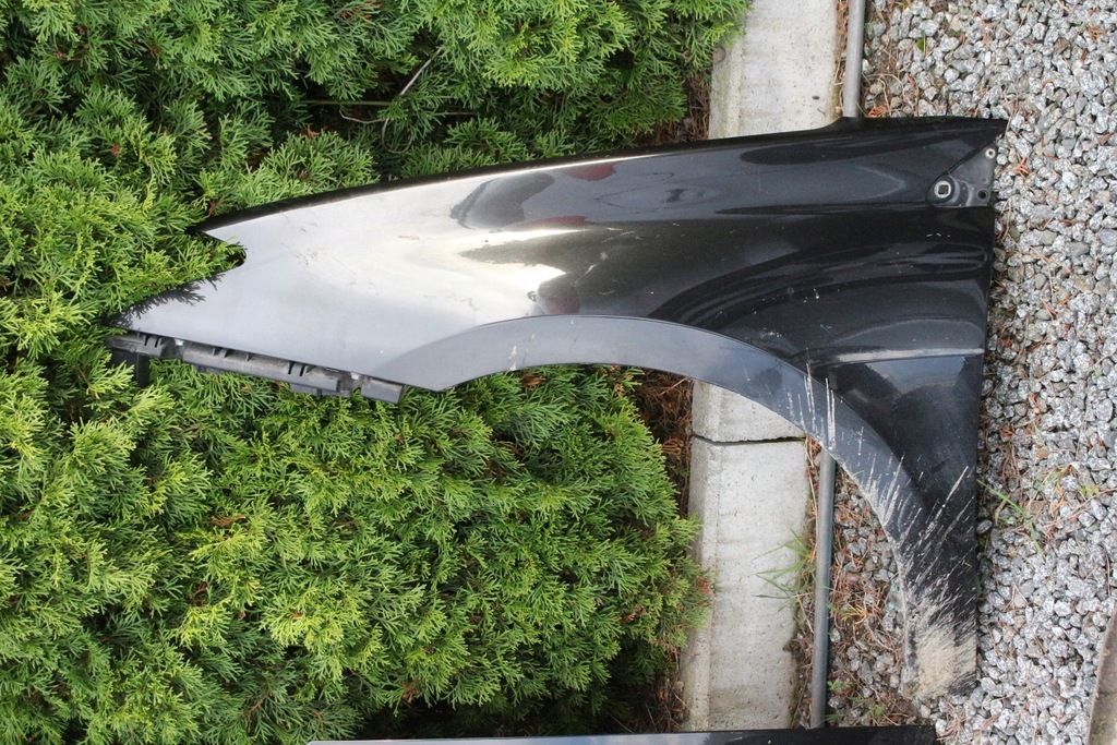 фото №9, Kompletny перед капот бампер крила лампа pas renault laguna iii nv676