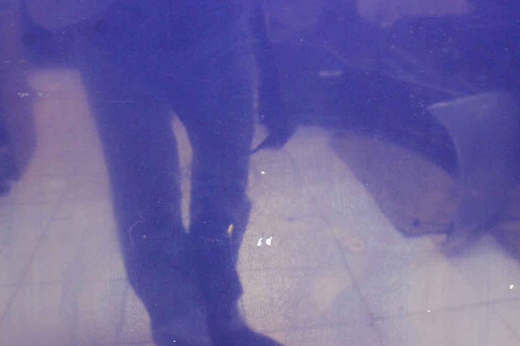 фото №13, Капот крышка двигателя bmw 5 v e60 e61 2004r-