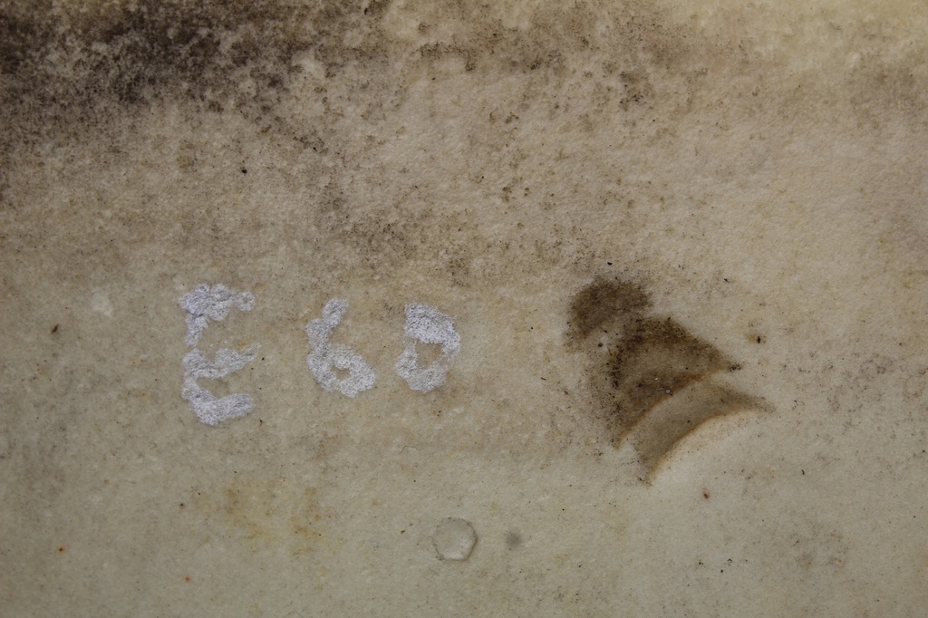 фото №10, Обшивка підлога підлога килимок bmw e60 e61 бежева перед i задня 9135279