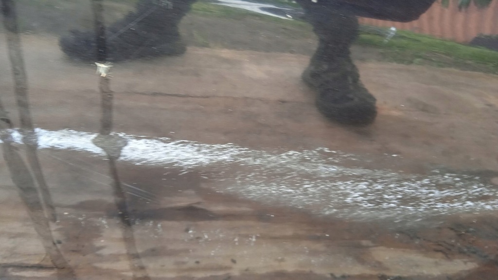 фото №12, Alfa romeo 147 двері перед правий 891/b