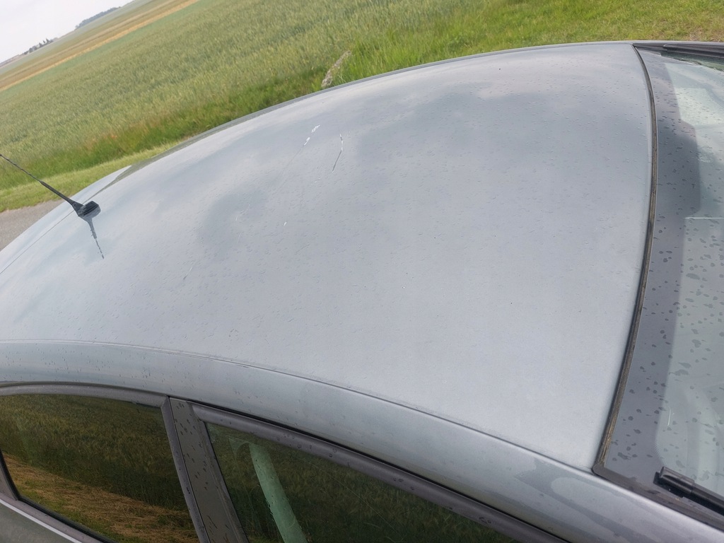 фото №1, Seat leon ii дах lx7r 05-12r