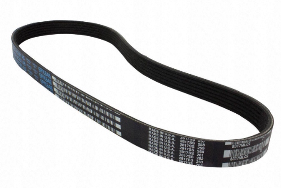 фото №7, Ремень приводной многоручьевой mustang 5.0 v8 ford оригинальный номер 2168730 _ jr3e-6c301-ab