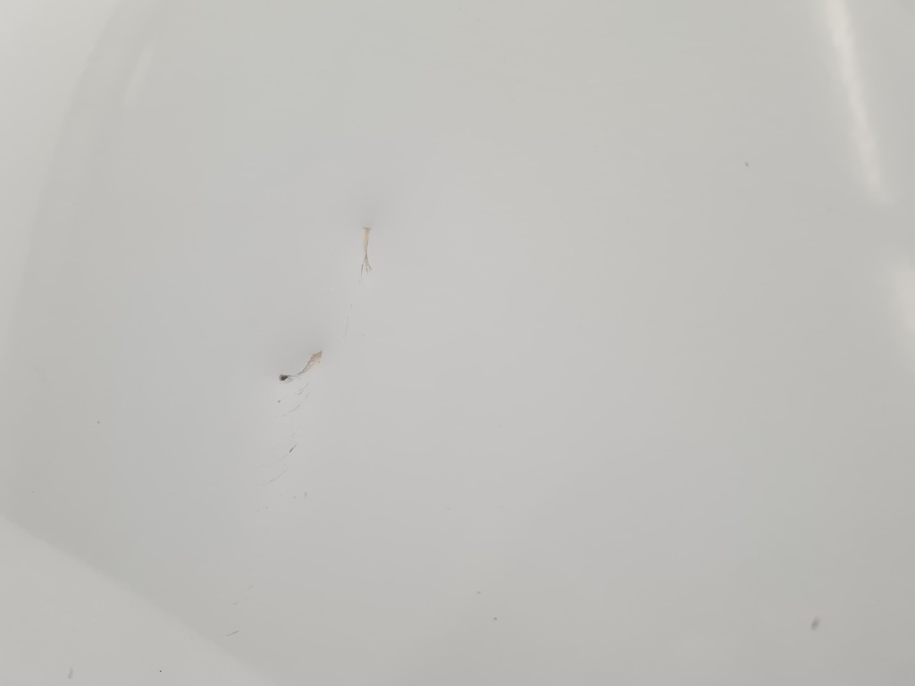 Nissan qashqai j10 дверь левая задний 326g Киев