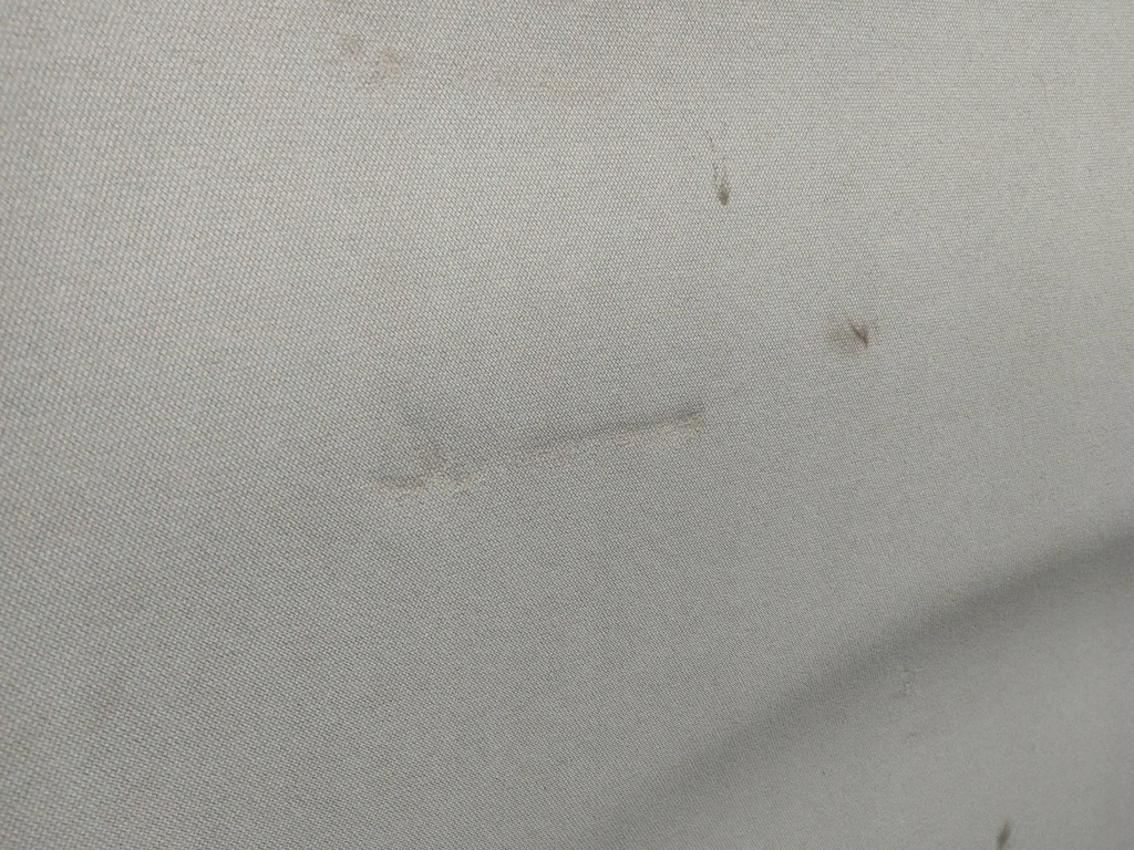 фото №7, 2023 toyota prius xw60 стеля 23121166