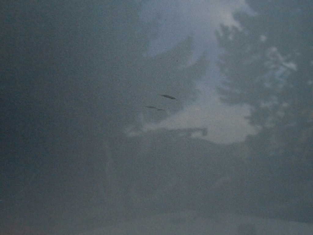 Капот крышка двигателя audi a6 c6 4f ly7w 04-12r Киев