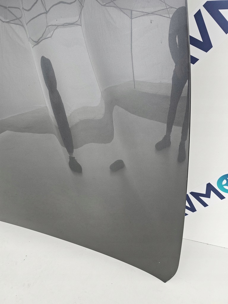 фото №3, Капот ferrari ff