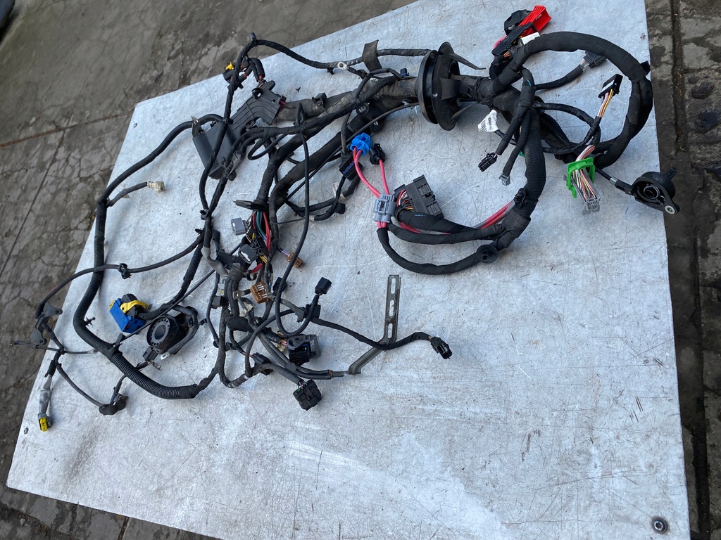 фото №1, Джгут електропроводка відсік двигуна renault grand scenic iii 2,0 dci
