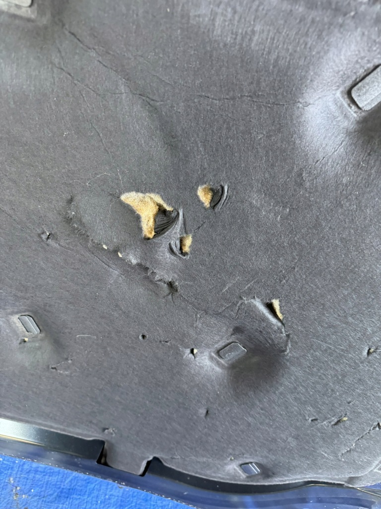 Капот ford kuga 3 рестайлінг  mk3 Недорого