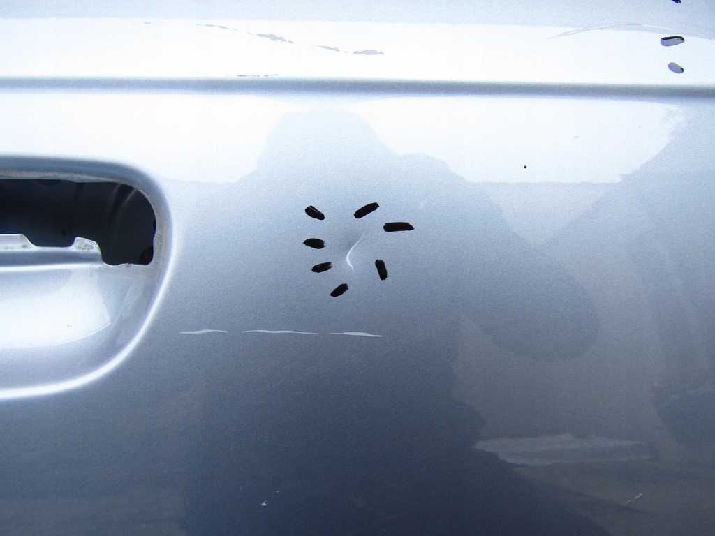 фото №4, Дверь правый перед audi a3 lift 8p 5d