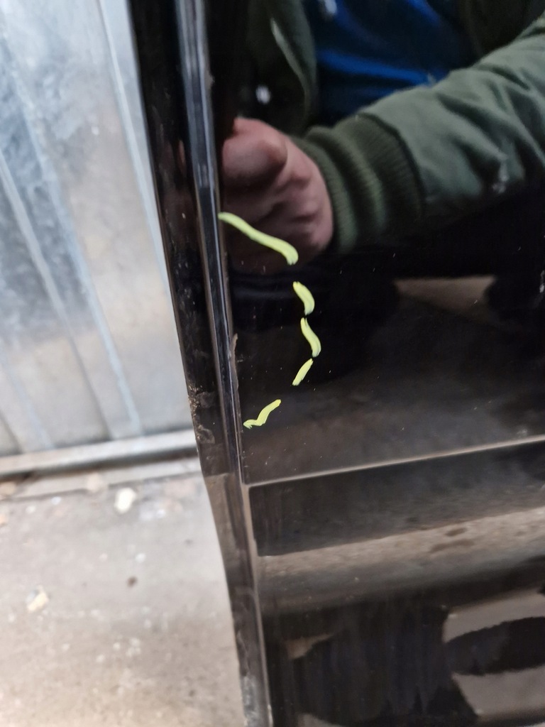 фото №5, Volvo xc40 2017- дверь задняя левая