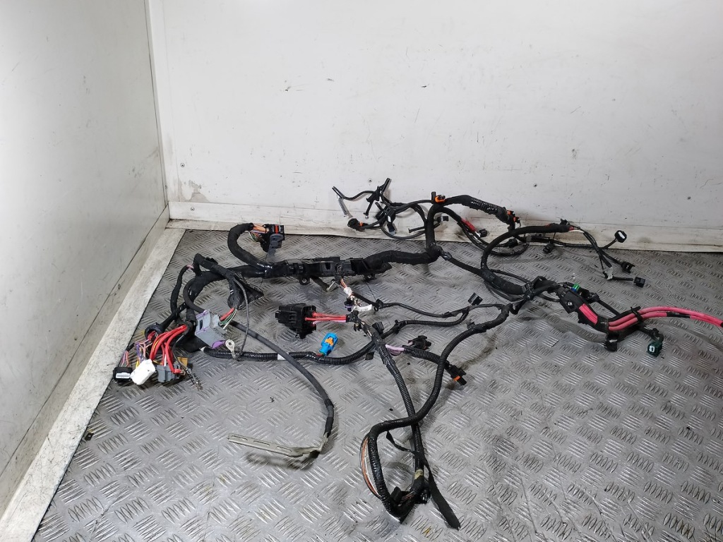 фото №2, Електропроводка, джгут автомобіля renault scenic iii 1.9 dci