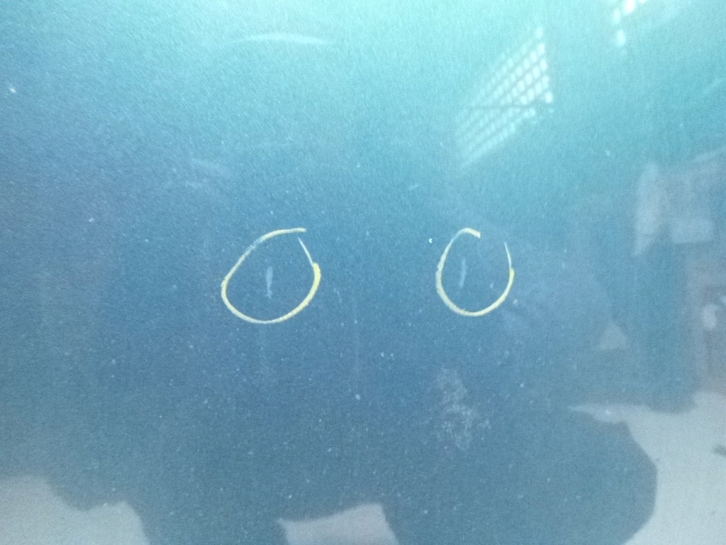 фото №5, Капот ford focus lift m8 2001r.