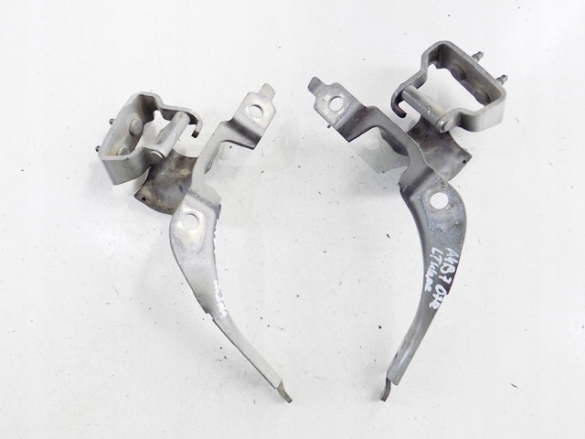 фото №1, Audi a4 b7 07r петлі кришки задня kombi kpl