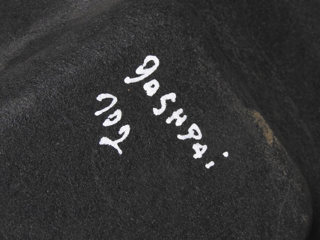 фото №6, Nissan qashqai j10 10-13 lift полка задняя багажника