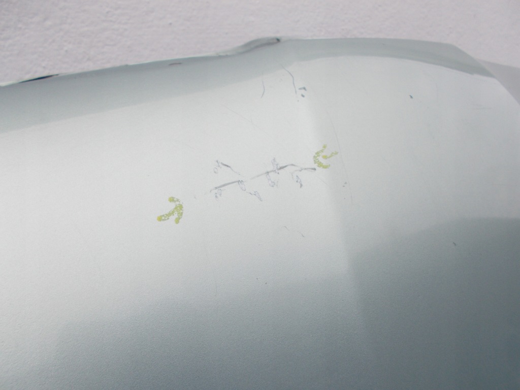 фото №8, Капот двигателя крышка skoda fabia ii lift fl 2010 - 2015