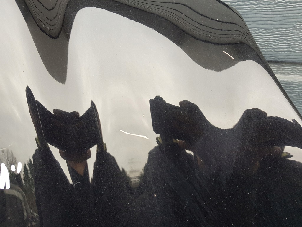 фото №16, Капот mercedes w211 lift c197 197