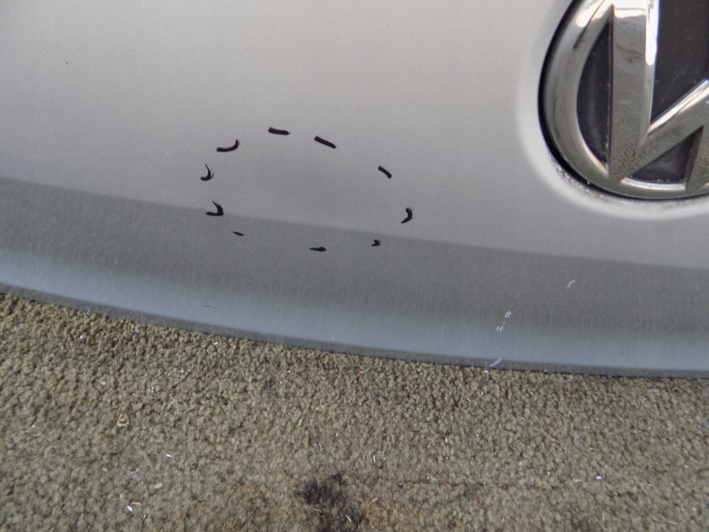 фото №7, Крышка багажника задняя vw polo 6r0