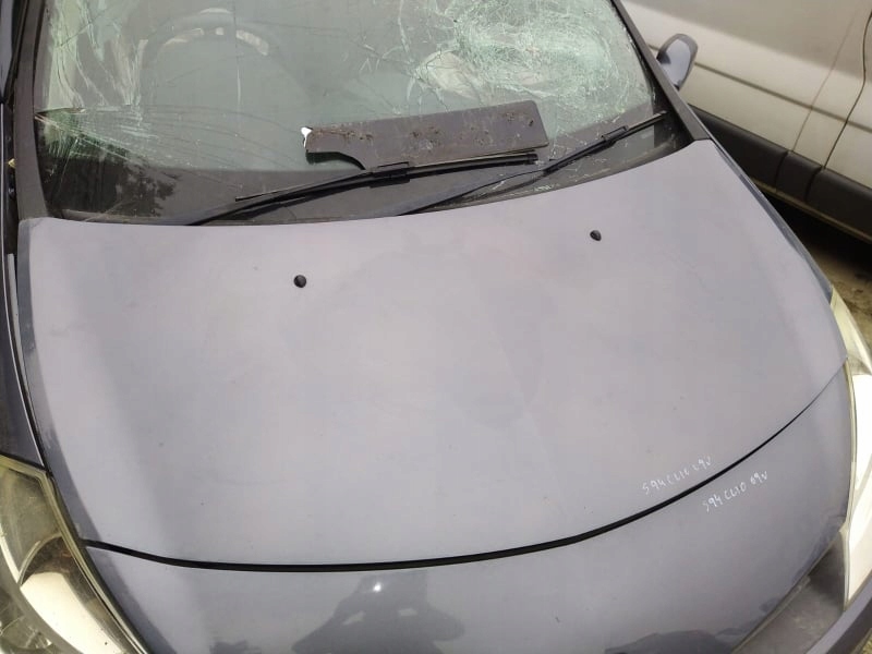 фото №2, Капот крышка двигателя renault clio iii 3 05-09