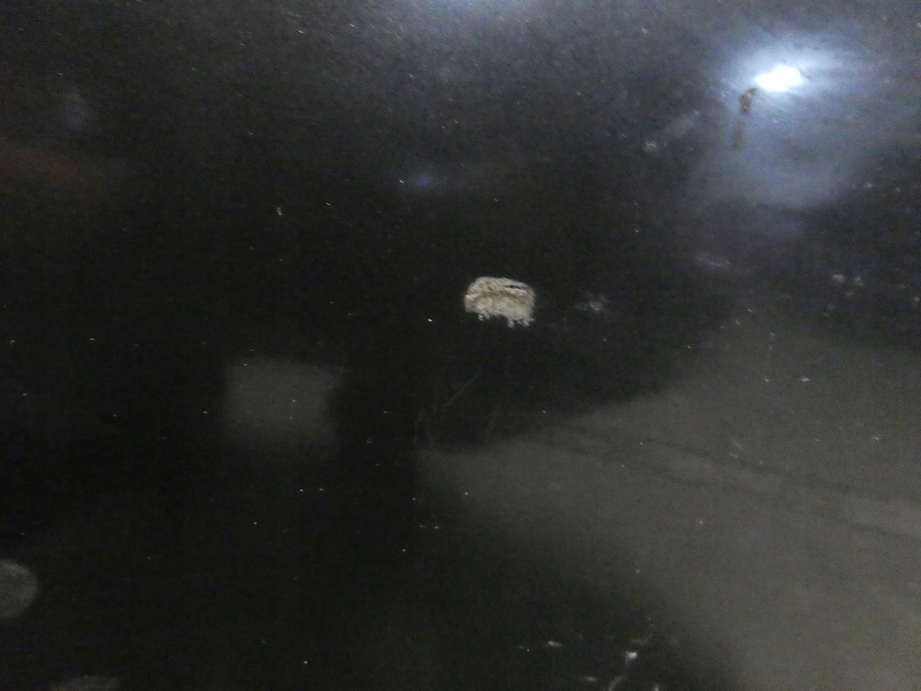 фото №5, Двері ліва лівий задня задні mercedes w140