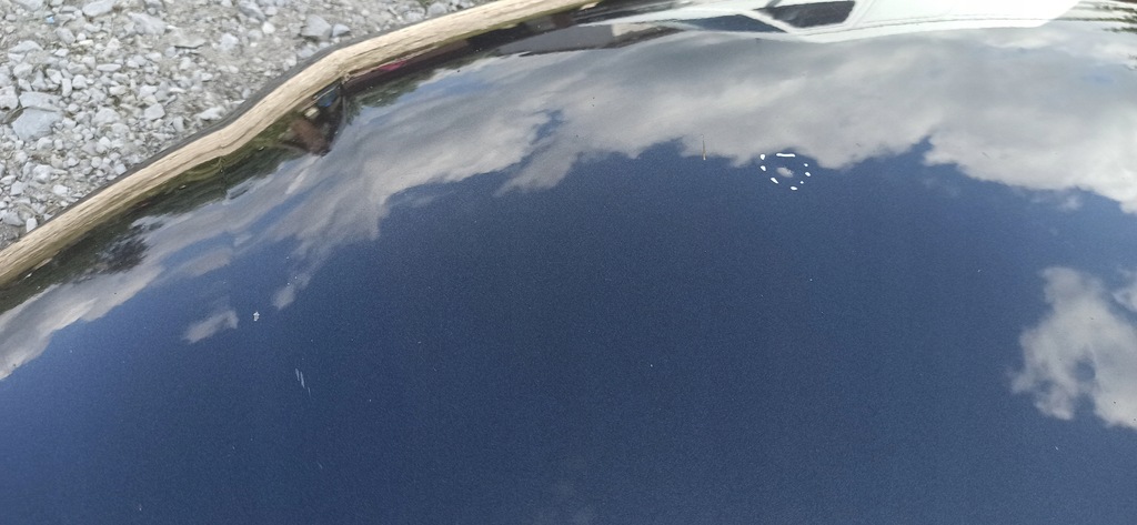 фото №10, Капот audi a3 8p малый решётка радиатора lz7l оригинал лак