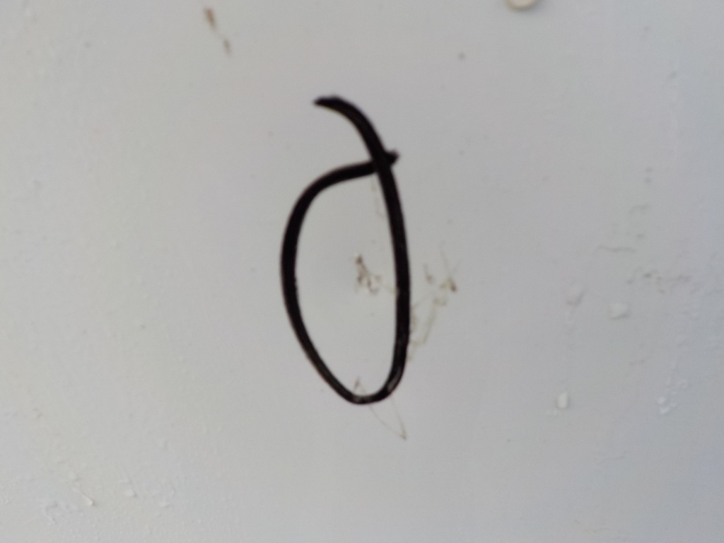 фото №2, Volvo v60 12- капот кришка kpl