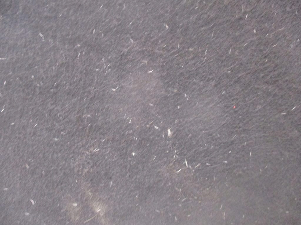 фото №13, Заднє сидіння задня задня напівшкіра ford kuga mk1