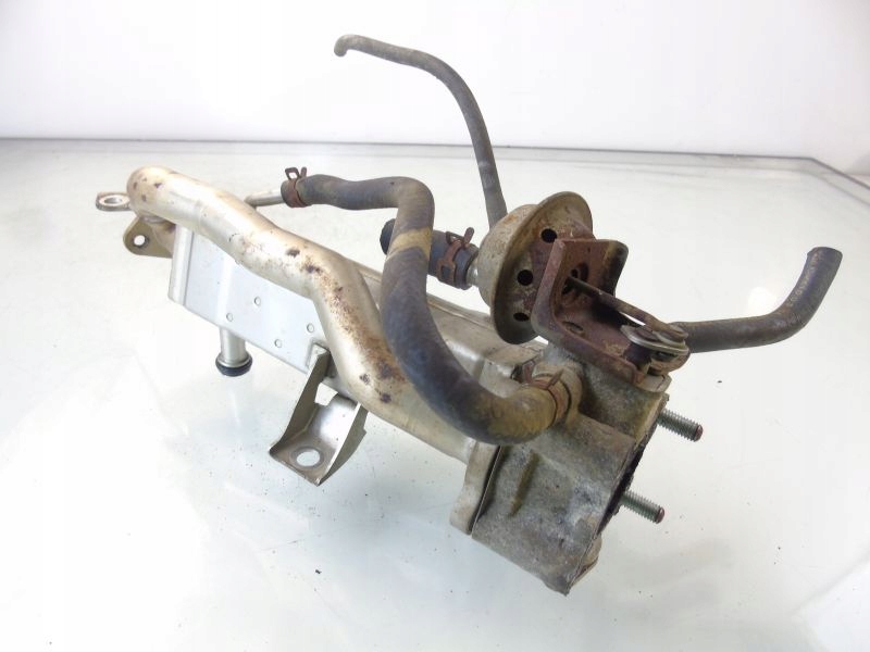 фото №6, Honda accord viii 8 2.2 d радіатор вихлопних газів