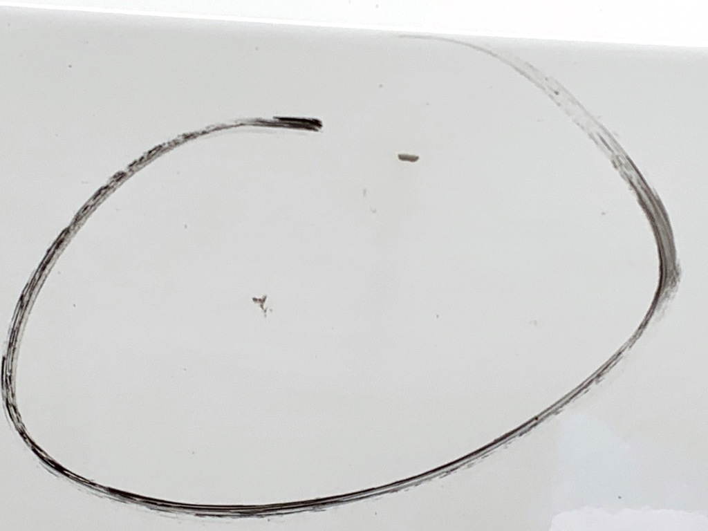 фото №3, Двері лівий перед citroen berlingo iii інший