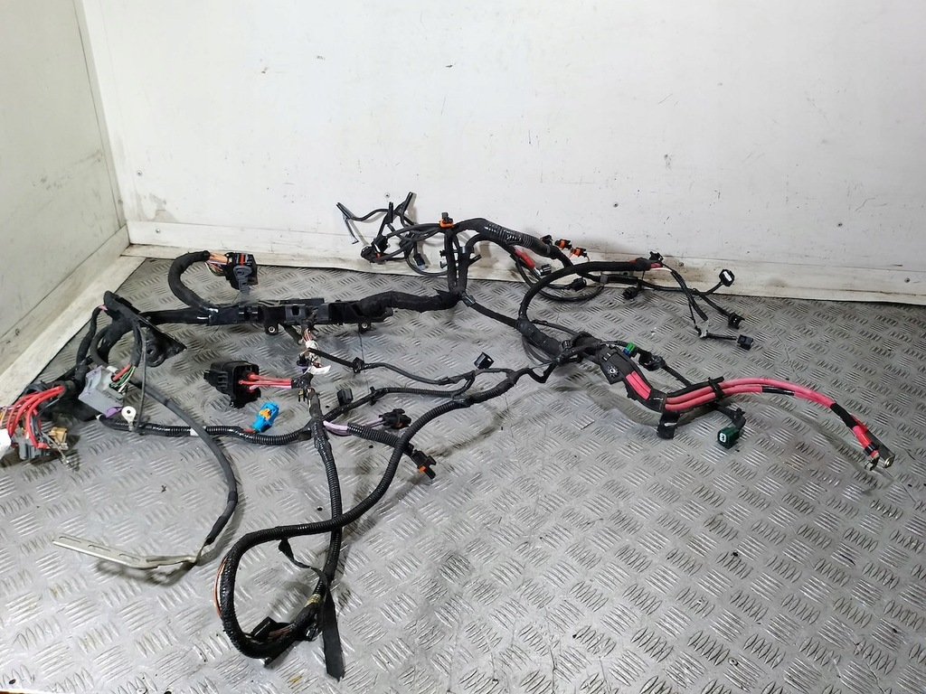 фото №1, Електропроводка, джгут автомобіля renault scenic iii 1.9 dci