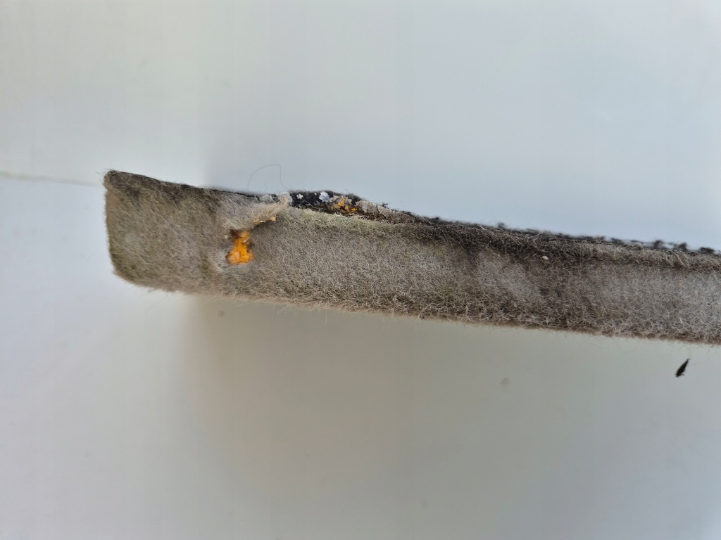 фото №9, Полка багажника renault scenic lift 1999-2003