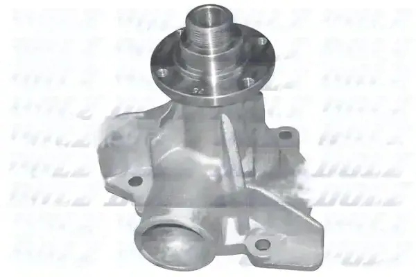 Купить Насос воды b211 dolz