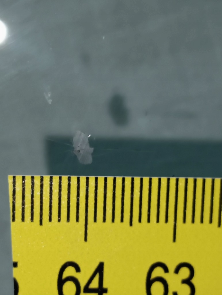 фото №4, Стекло передняя mercedes w177 18- ka se hu or kamy