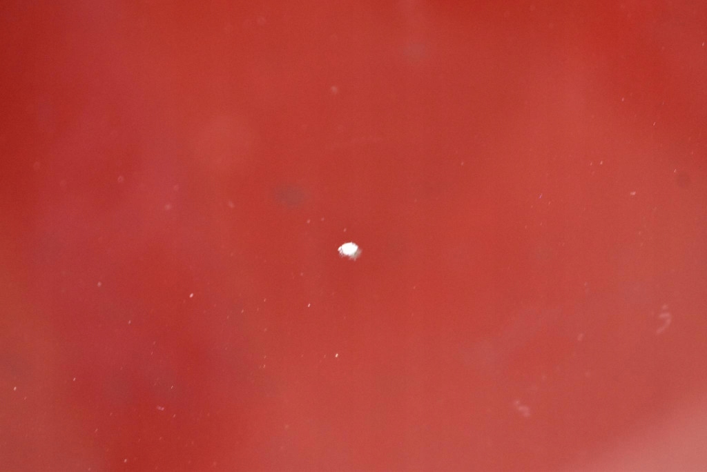 фото №7, Стекло перед передняя лобовое kia ev6 21-