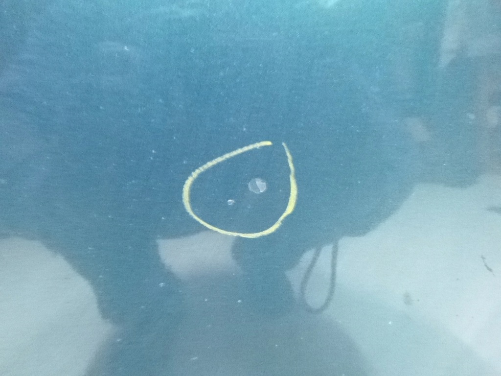 фото №4, Капот ford focus lift m8 2001r.