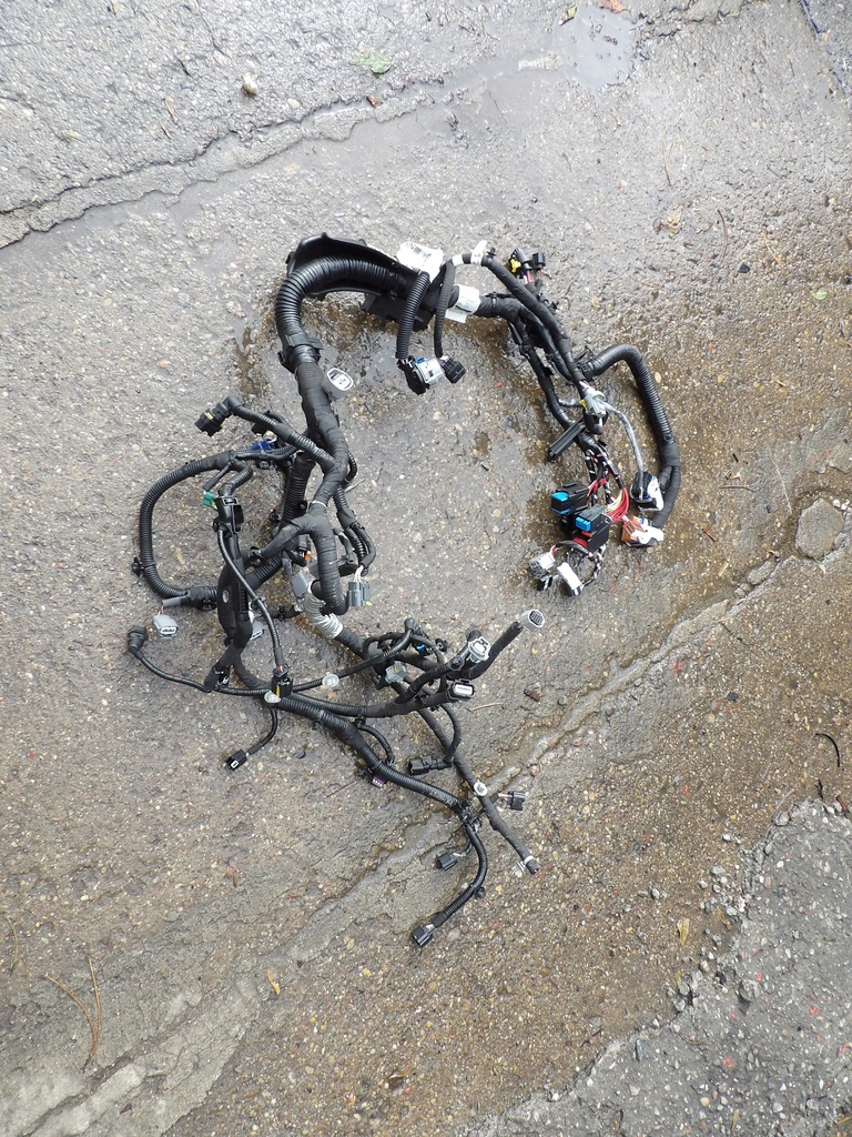 фото №1, Жгут электропроводка двигателя renault 240115669s