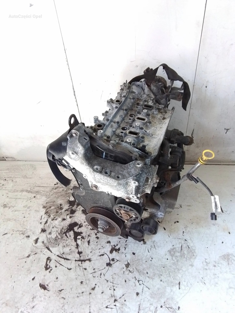 фото №1, Opel vivaro 1.6 двигун блок двигуна r9m 125 tyś mil