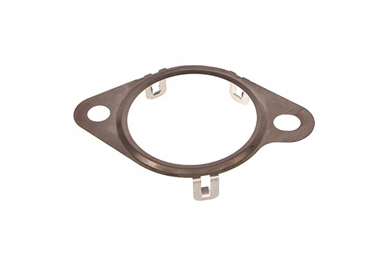 Купити 5801923072 оригінал  fiat прокладка клапана egr iveco daily 2,3 16-