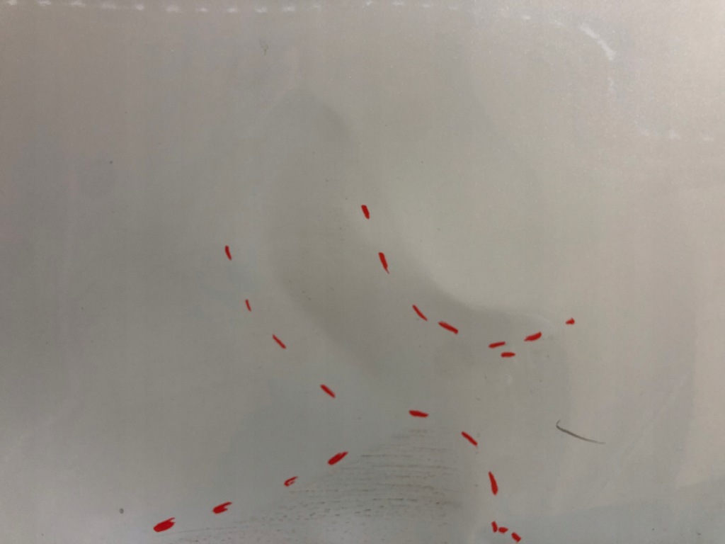 фото №2, Дверь задние левая kia sportage v 5