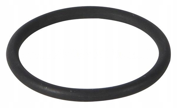 Купити Ущільнювальне кільце форсунки daf cf75 xf95 xf105 [1638271]